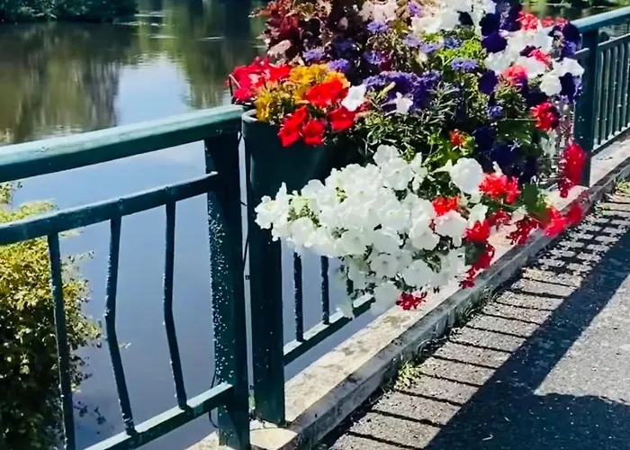 Nightingale * Luchapt